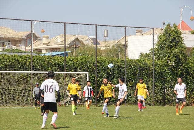 第61期两张球星卡就能买座岛？